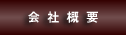 ЊTv