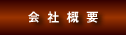 ЊTv